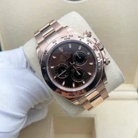 Daytona Everose Gold Chocolate Dial